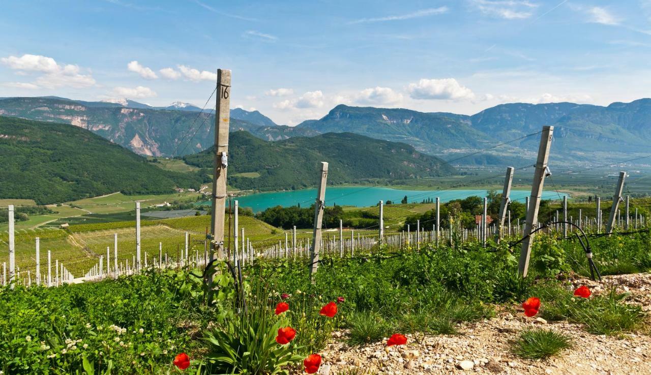 Hotel Weingut Klosterhof Caldaro Ngoại thất bức ảnh